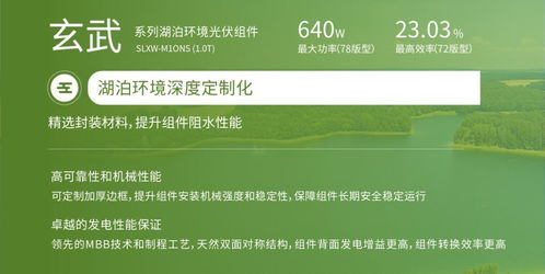 雙良新能科技超級光能系列高效光伏組件榮獲韓國工業(yè)標(biāo)準(zhǔn)KS認(rèn)證，助力銀河棉業(yè)綠色發(fā)展